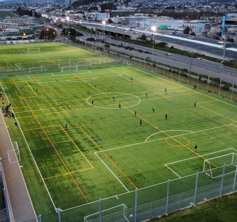 Soccer Field image 2