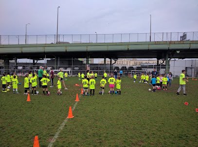 Soccer Field image 1