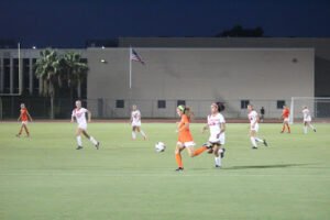 Soccer Field image 1