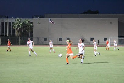 Soccer Field image 1