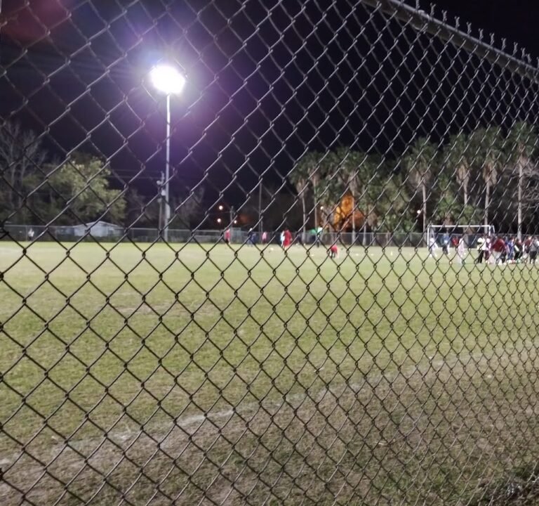 Soccer Field image 2