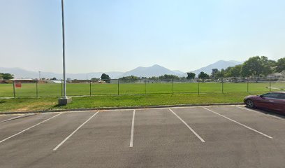 Soccer Field image 1