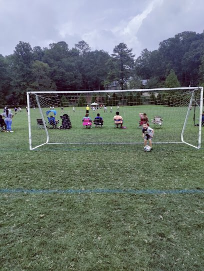 Soccer Field image 1