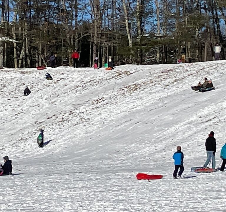 Soccer Field image 2