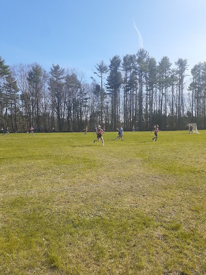 Soccer Field image 1