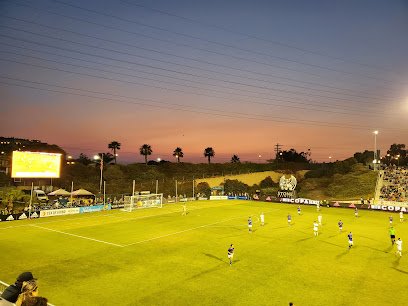Soccer Field image 1