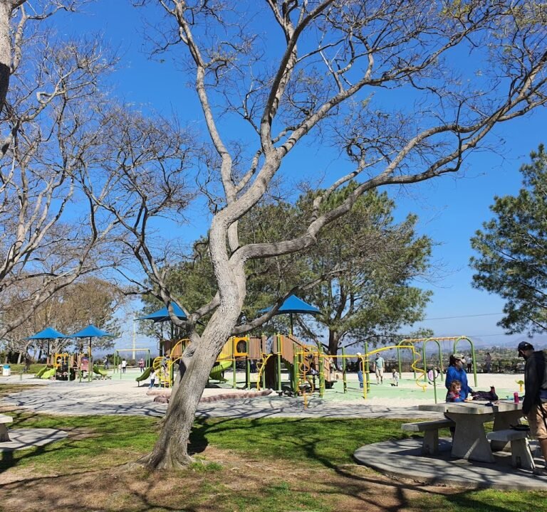 Soccer Field image 2