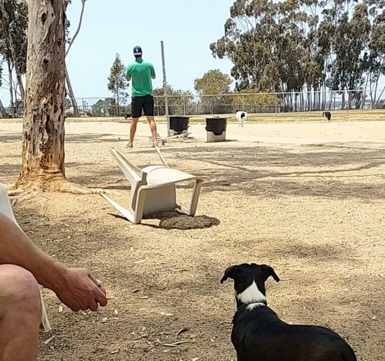 Soccer Field image 4