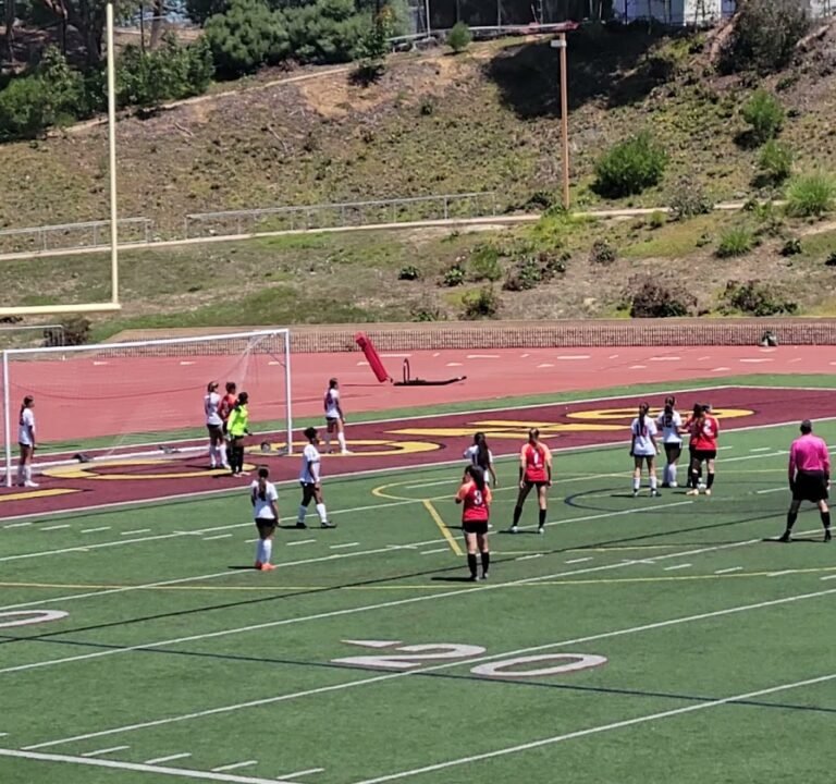 Soccer Field image 3