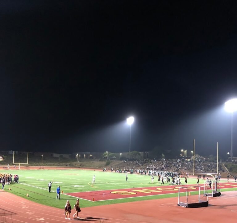 Soccer Field image 2