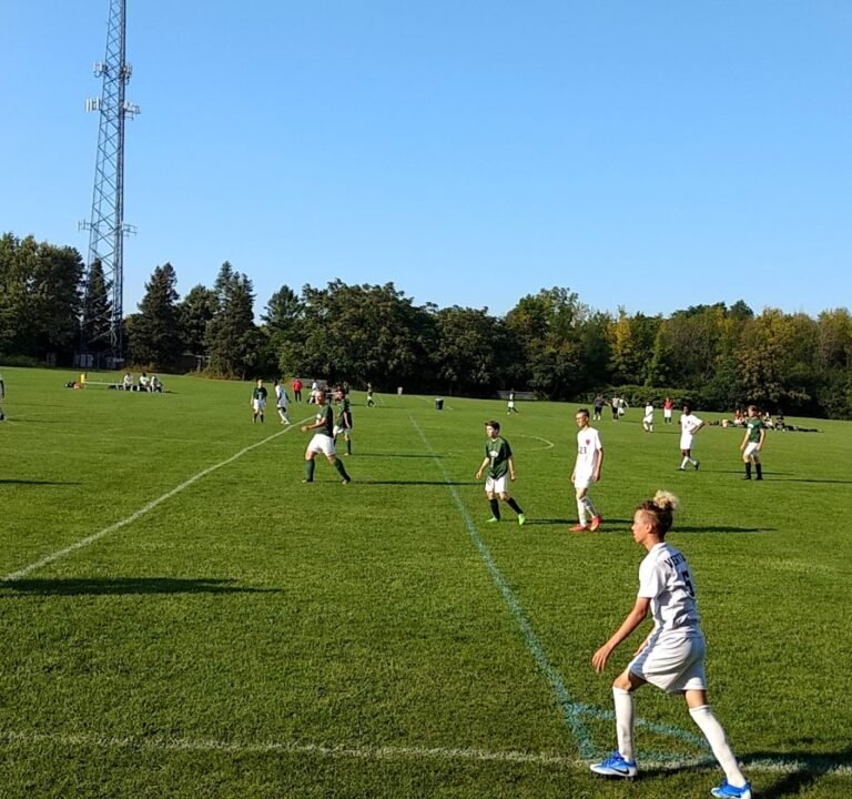 Soccer Field image 4