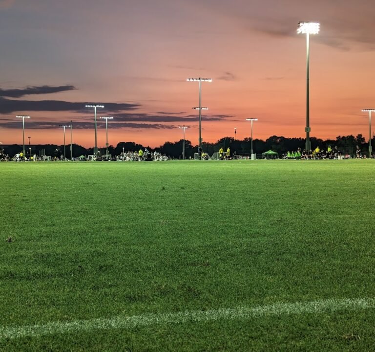 Soccer Field image 2