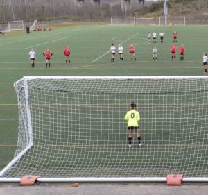 Soccer Field image 4