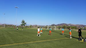 Soccer Field image 1