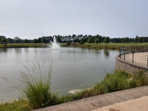 Soccer Field image 1