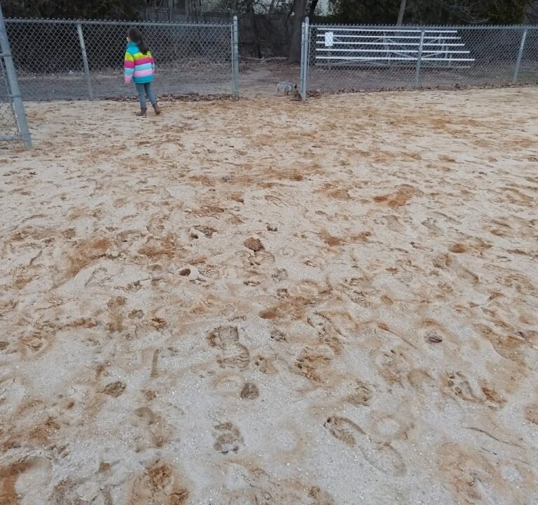 Soccer Field image 2