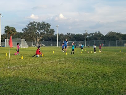 Soccer Field image 1