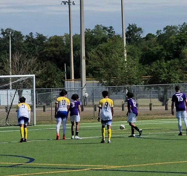 Soccer Field image 3