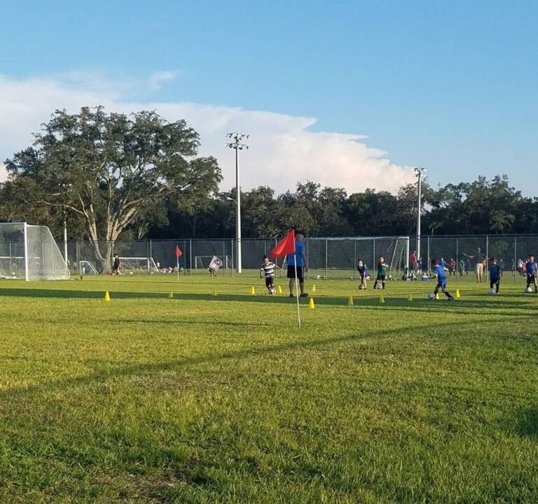Soccer Field image 2