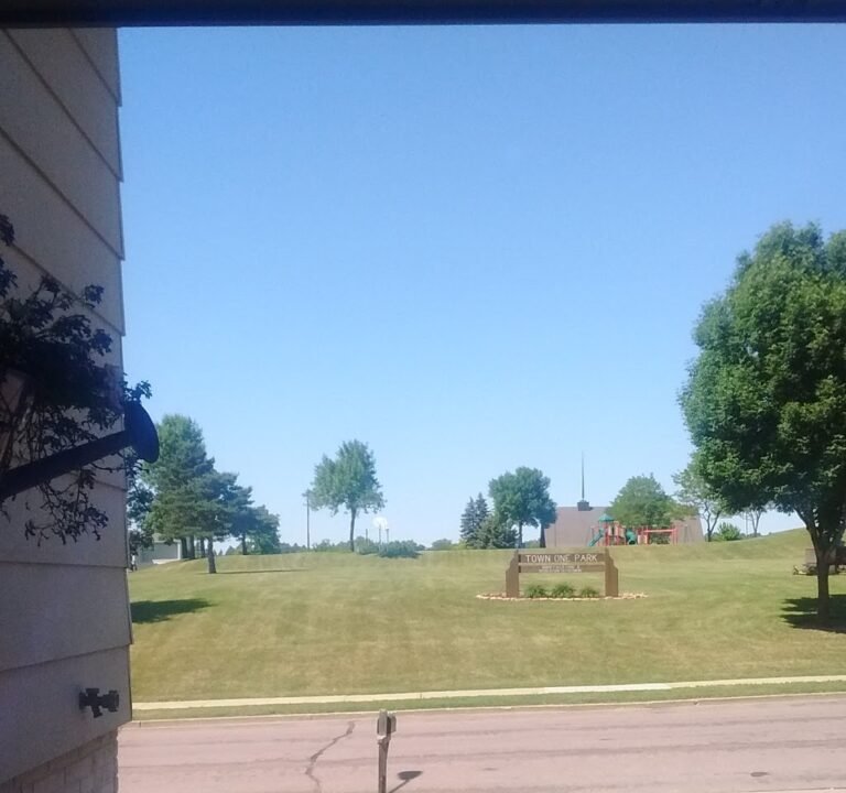 Soccer Field image 2