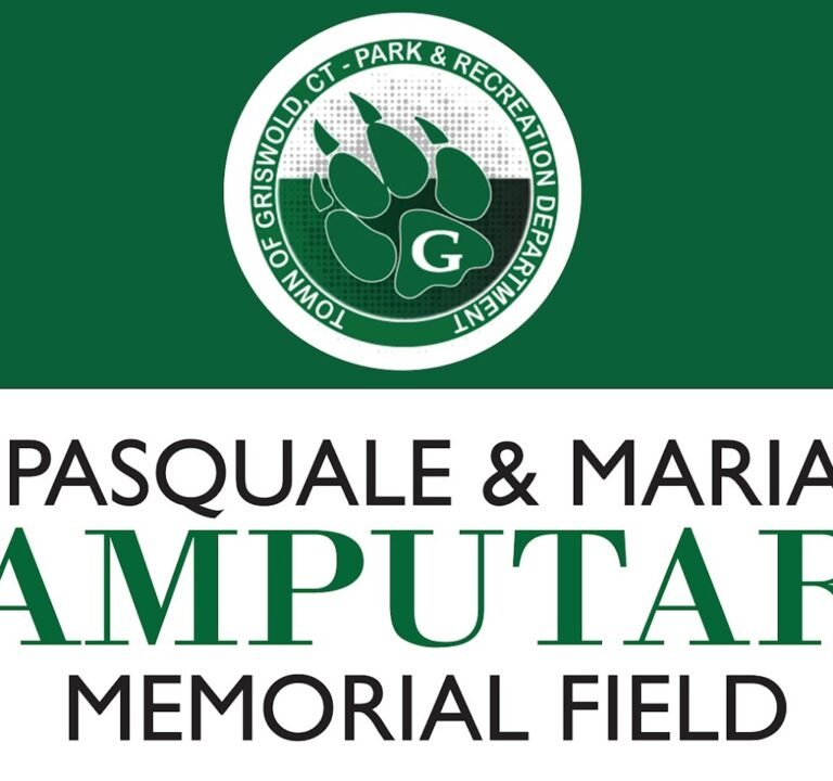 Soccer Field image 3