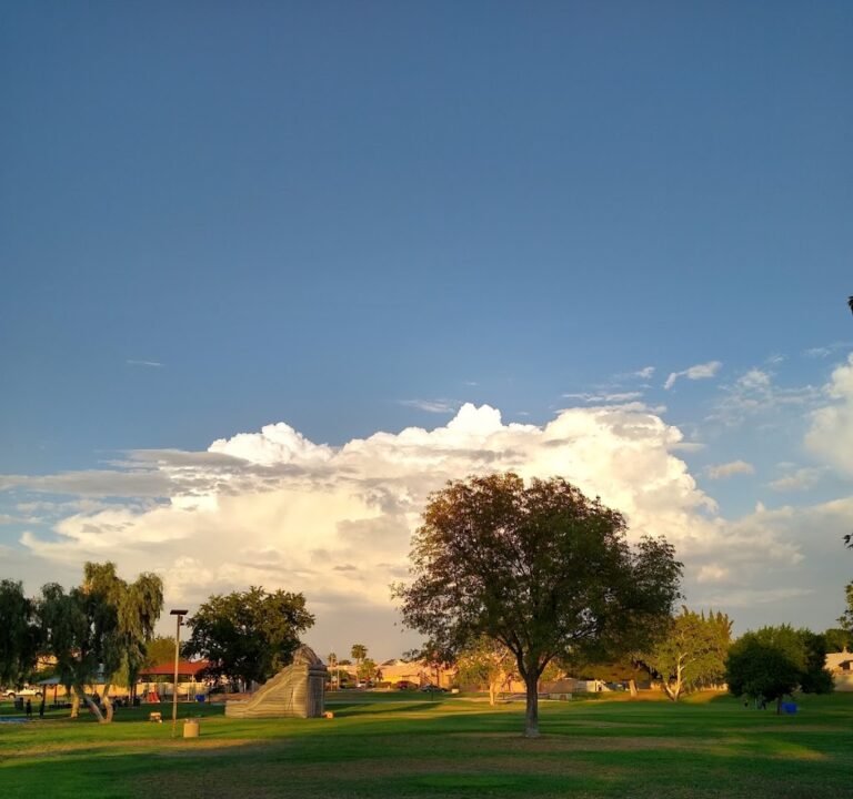 Soccer Field image 3