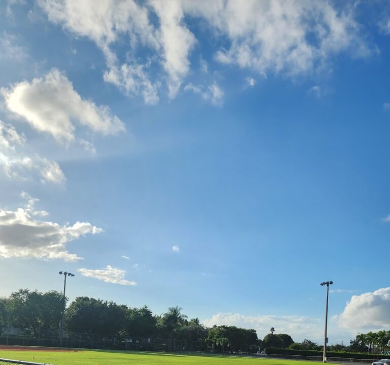 Soccer Field image 2