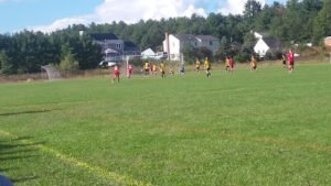 Soccer Field image 1