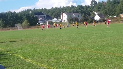 Soccer Field image 1