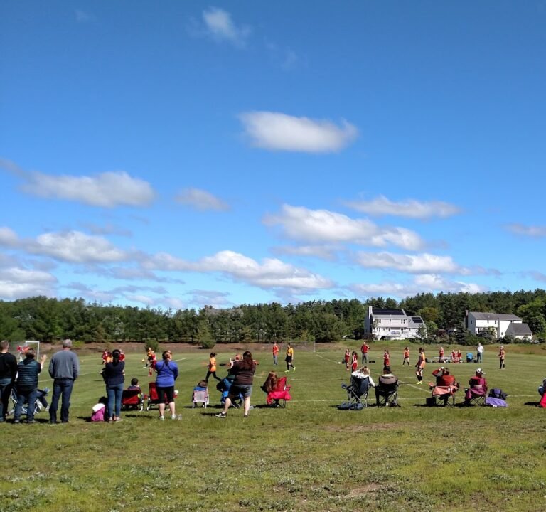 Soccer Field image 2