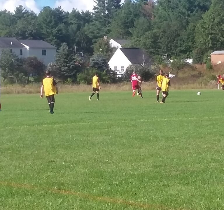 Soccer Field image 3