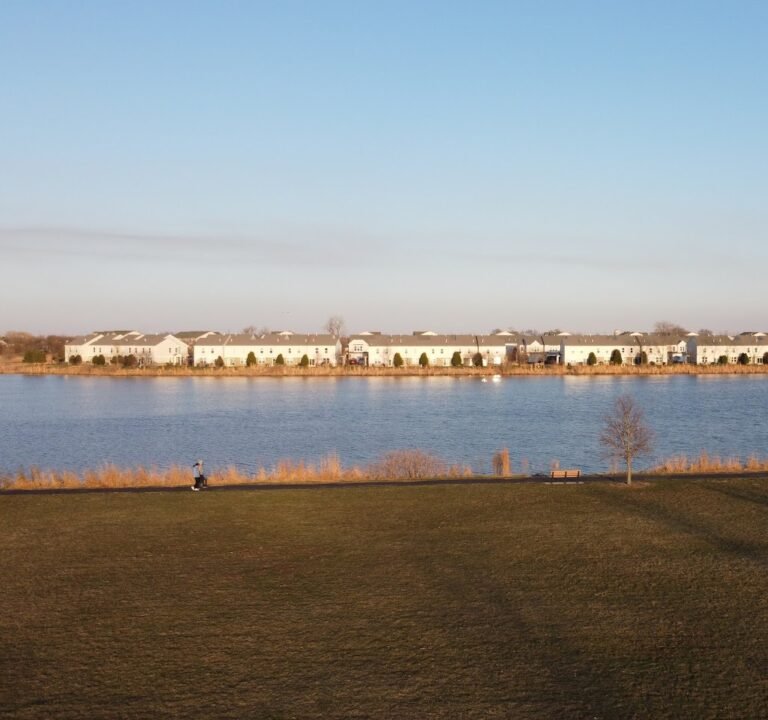 Soccer Field image 2