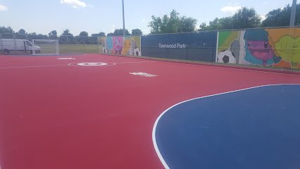 Soccer Field image 1