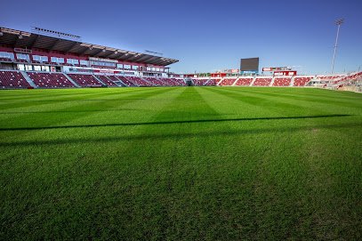 Soccer Field image 1