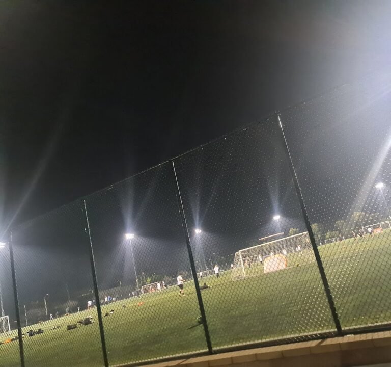 Soccer Field image 3