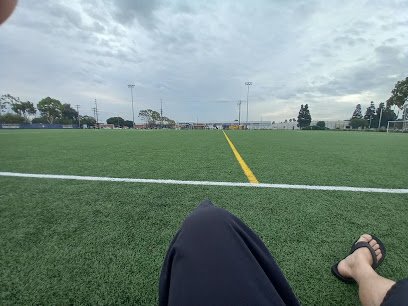 Soccer Field image 1