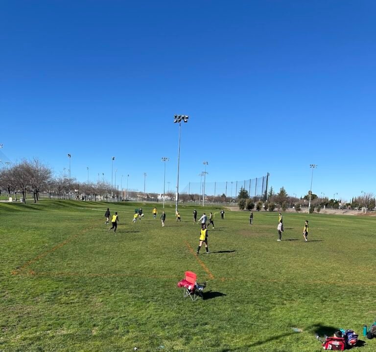 Soccer Field image 3