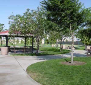 Soccer Field image 3