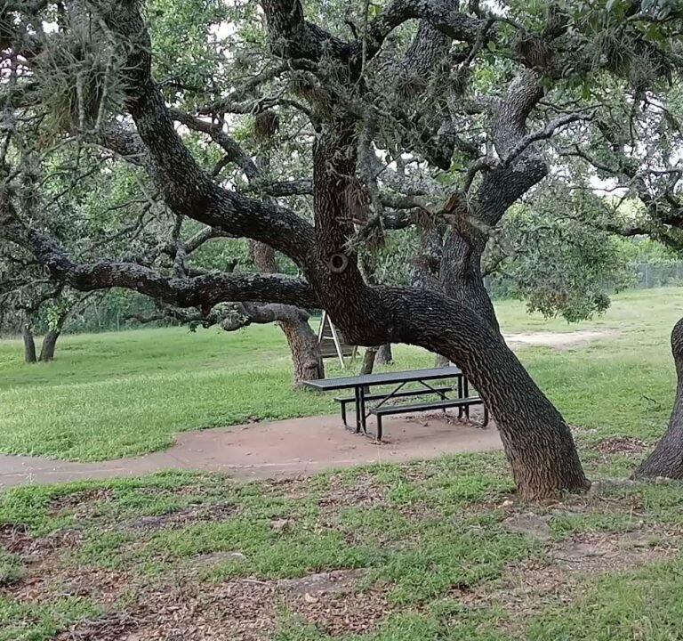 Soccer Field image 4