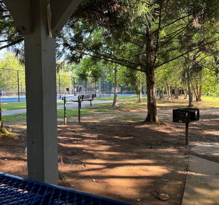 Soccer Field image 2