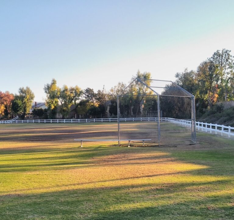 Soccer Field image 2