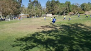 Soccer Field image 1