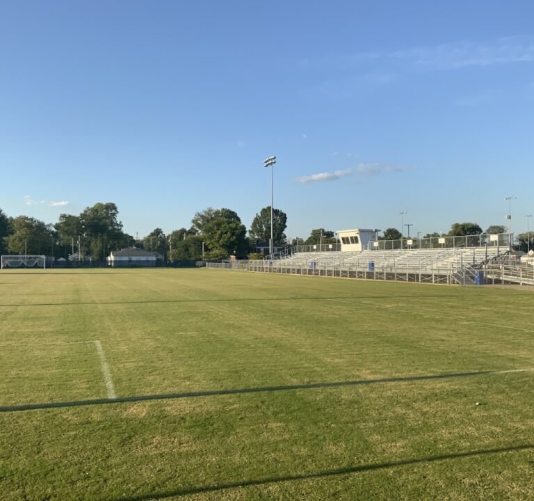 Soccer Field image 2