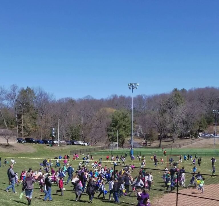 Soccer Field image 3