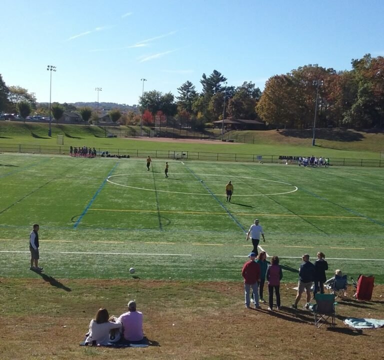 Soccer Field image 2