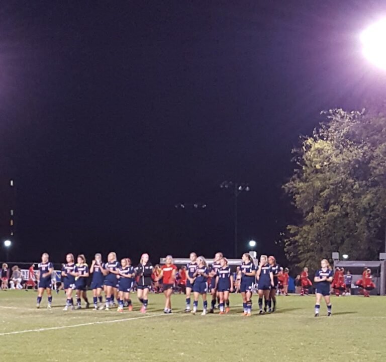 Soccer Field image 3