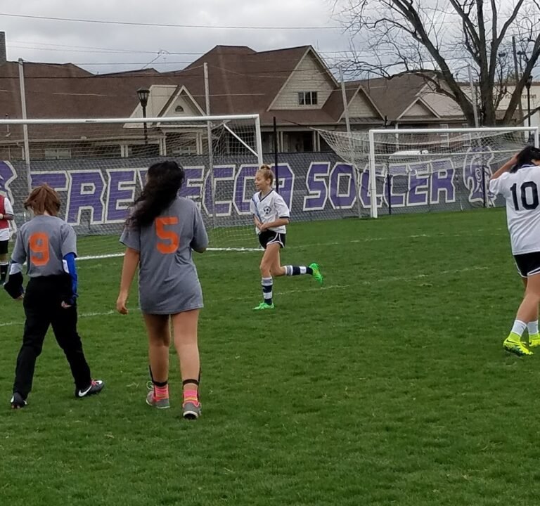 Soccer Field image 2