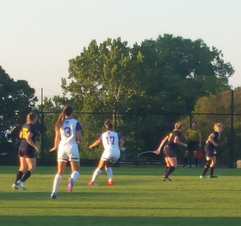 Soccer Field image 4