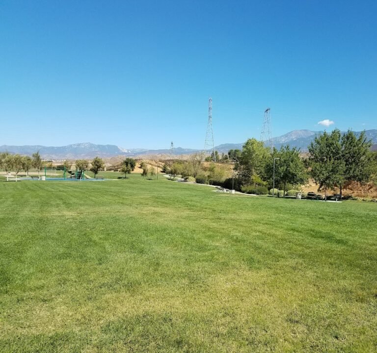 Soccer Field image 2