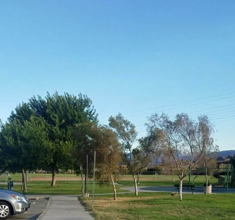 Soccer Field image 4